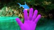 Finger Family Songs For Kids Sharks Vs Dinosaurs Mega Fight | Finger Family Nursery Rhymes