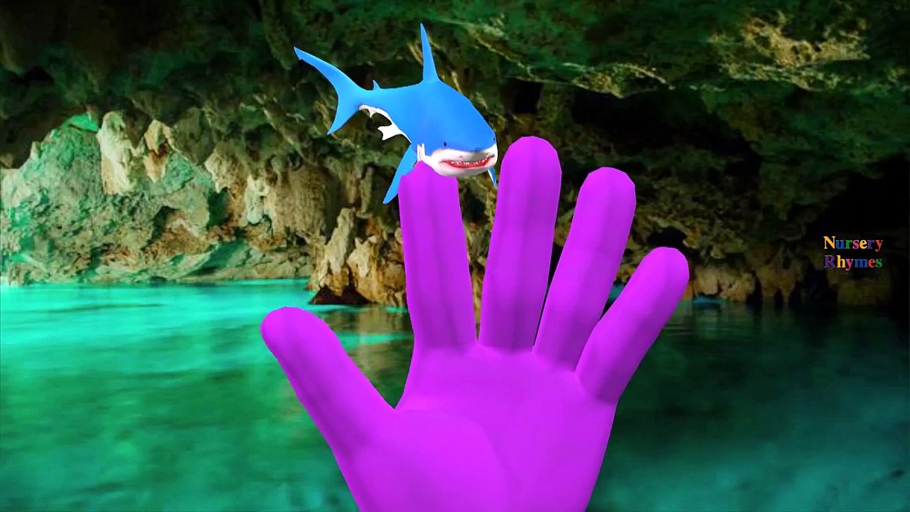 Finger Family Songs For Kids Sharks Vs Dinosaurs Mega Fight | Finger Family Nursery Rhymes