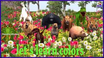 Colors Song || Learn Animals & colors With Wild Animals || By Nursery Rhymes || Kids 3D Rhymes