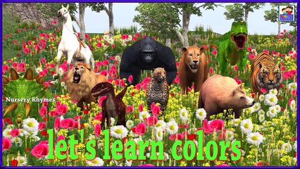 Colors Song || Learn Animals & colors With Wild Animals || By Nursery Rhymes || Kids 3D Rhymes