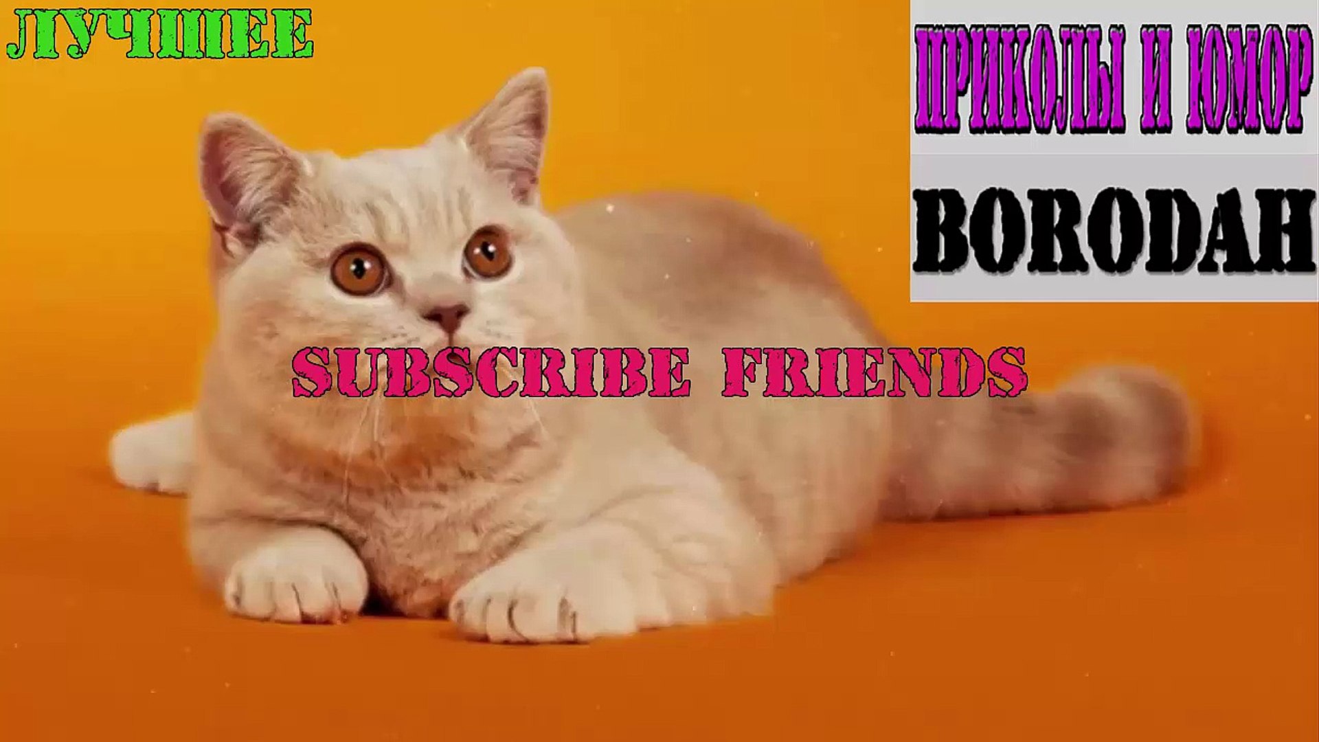 ⁣Смешные Видео со всего мира - Funny Videos from around the world