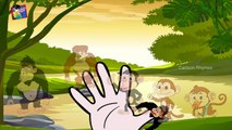 Family Finger Cartoon | Nursery Rhymes for Children | Monkey Finger Family Collection