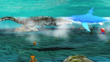 Bull Shark Vs Crocodile Attack Each Other And Singing Finger Family Children Nursery Rhymes