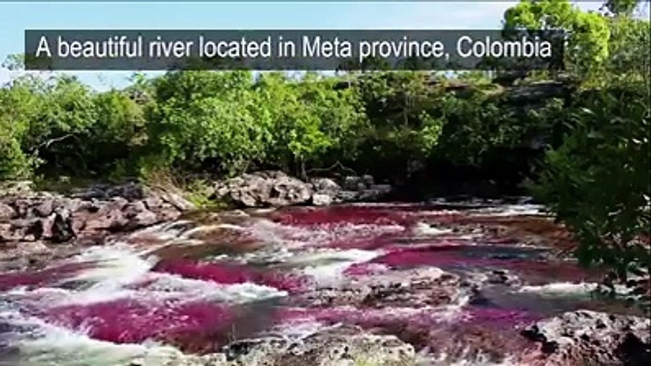 The River of the Five Colors, Colombia