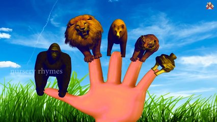 Finger Family || WILD ANIMALS IN CAVES Version || Nursery Rhymes and Baby Songs