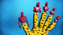 Finger Family Rhymes Spiderman Cartoons | Finger Family Children Nursery Rhymes Spiderman