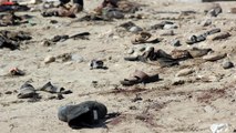 Yémen : l'EI revendique un nouvel attentat meurtrier à Aden