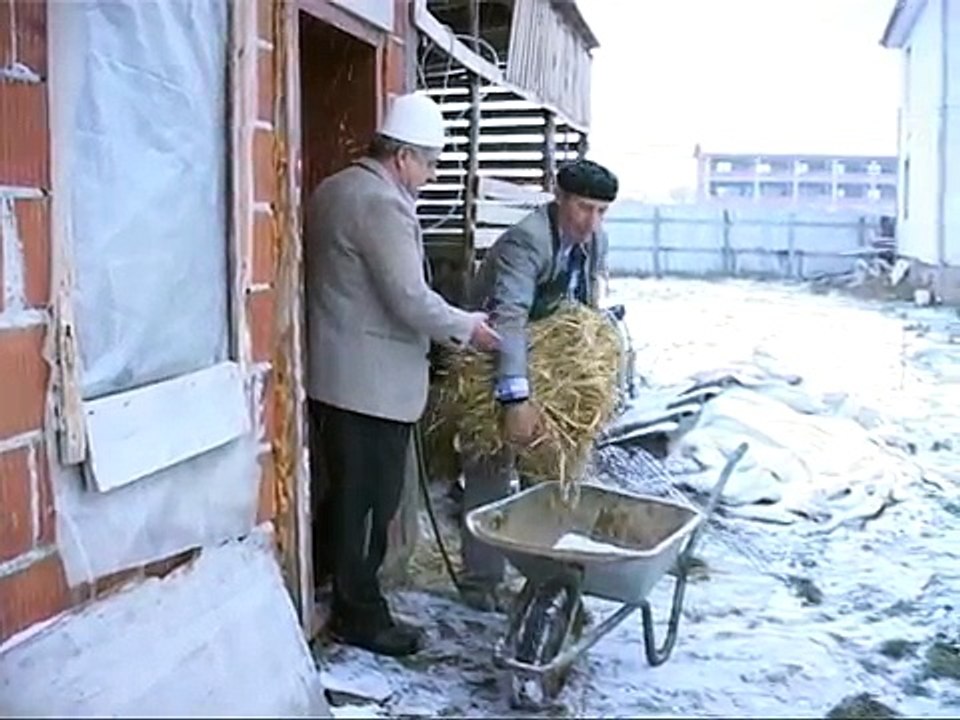 Leci Tu Vjedh San Me Kolic-Humor -LECI