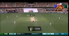 Fall of wickets day 4 Pakistan vs Australia 1st tedt