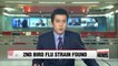 Korea confirms second strain of bird flu at poultry farm
