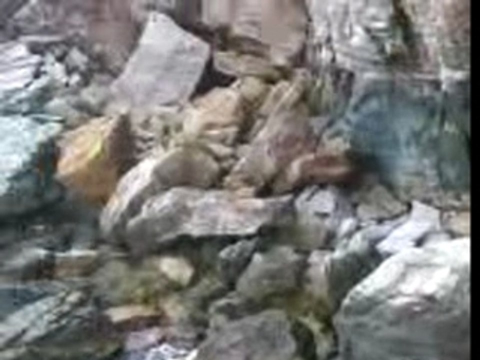 Les rochers du cap