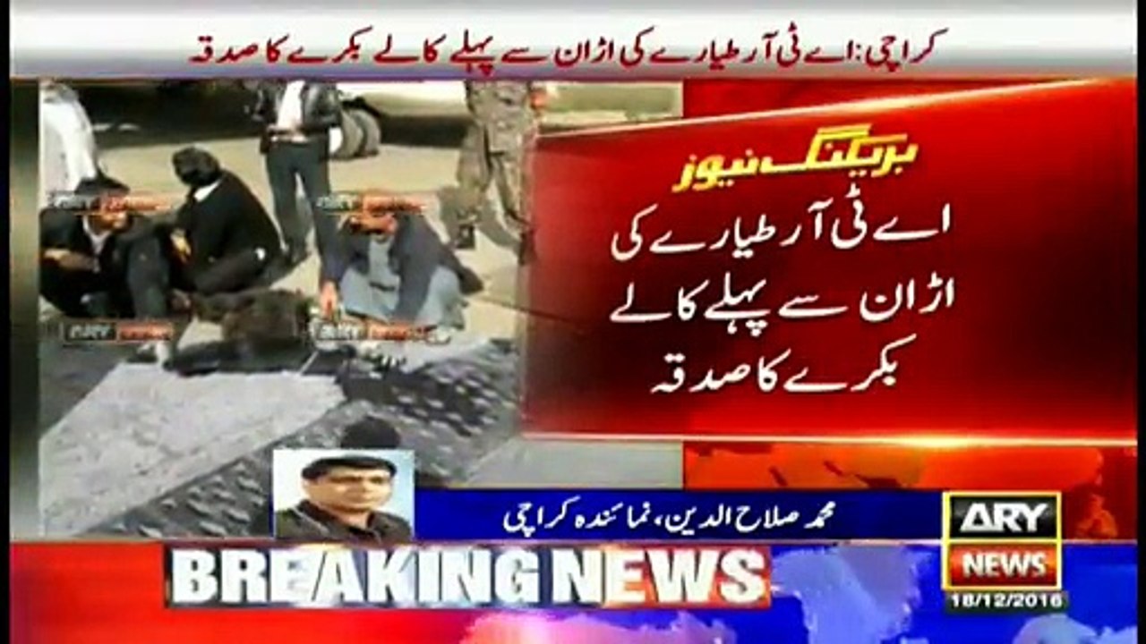 PIA Slaughters Black Goat Before ATR Jet Takeoff