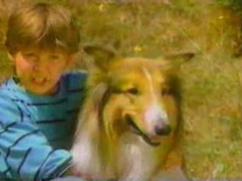 CKY - Lassie promo (1990)