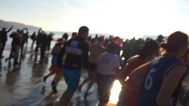 La baignade des Otaries à Saint Gildas