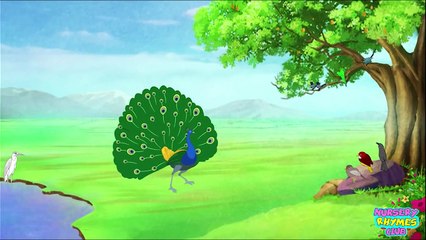 Nach Mor Sabhko Bhata Hindi Rhyme | Mor Hindi Rhyme | Peacock Song