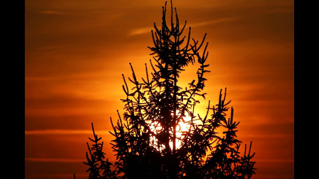 Sunset from my village.