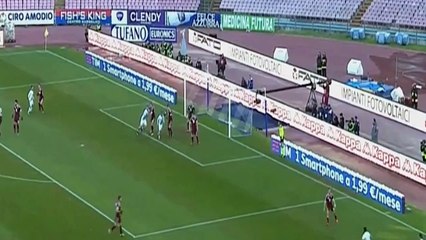 Dries Mertens Goal Napoli 3 - 0 Torino 2016