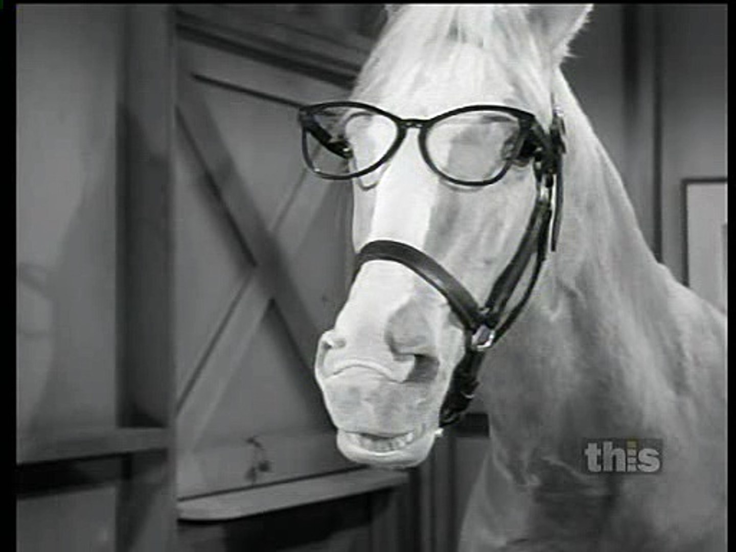 Of mr ed pictures Mister Ed