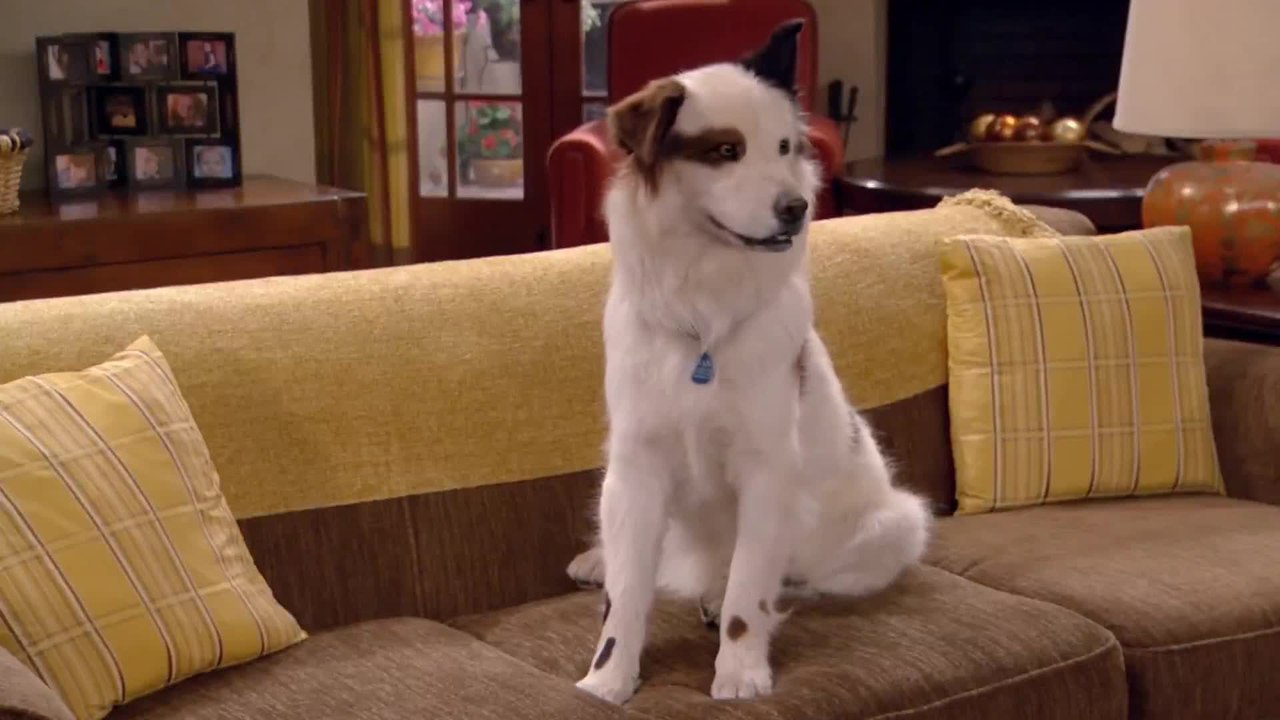 Dog with a Blog S 2 E 22 Stan Gets Schooled video Dailymotion