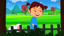 Mary Had A Little Lamb | Nursery Rhyme | Kids Songs and Nursery Rhymes