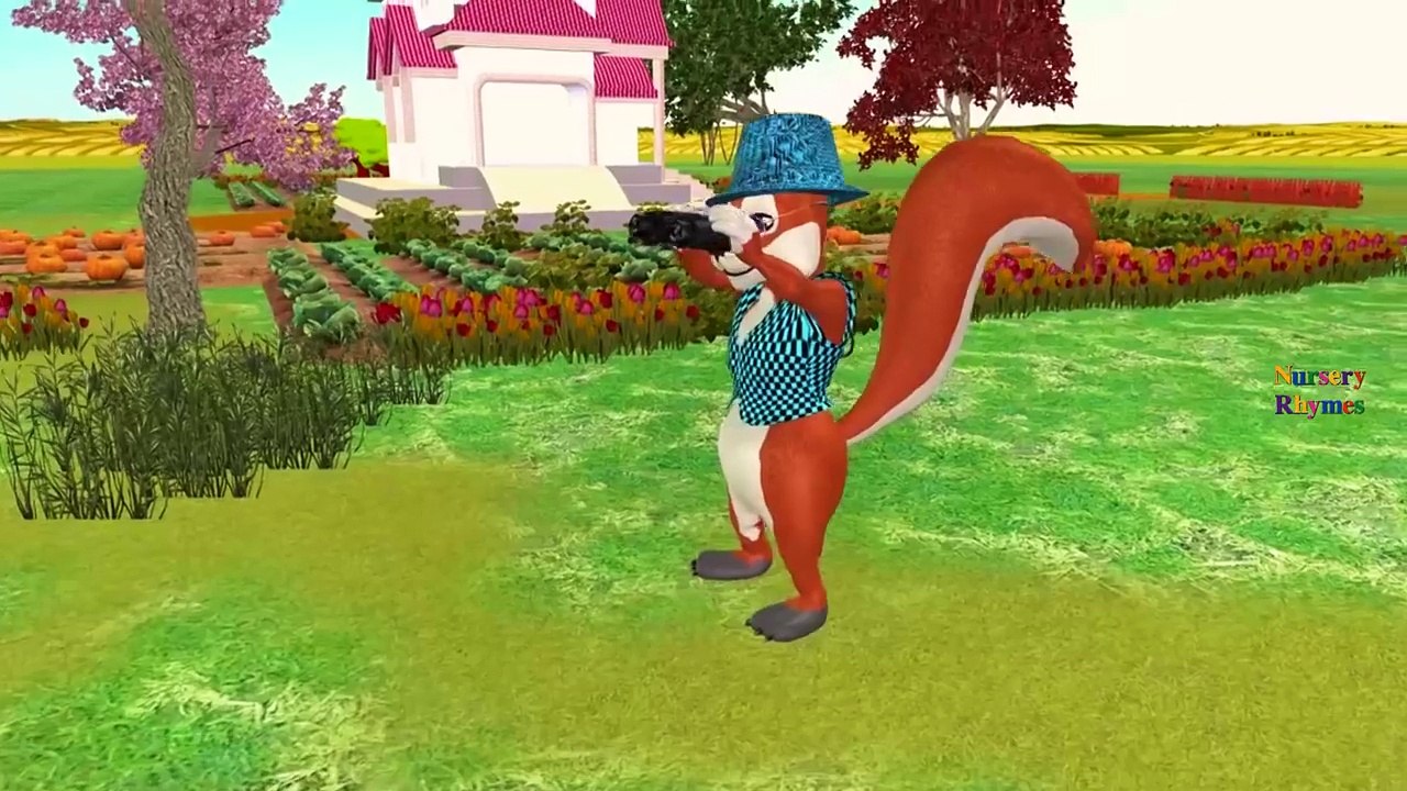Animals Cartoon Singing Finger Family Rhymes And More Children Nursery Rhymes Collection