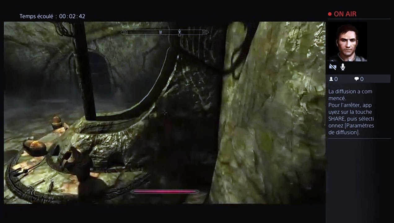 Diffusion PS4 en direct de Gerfaut3 (25)
