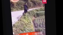 Funny Videos of People Falling 2017 - New Funny Videos 2017 - Funny Video Clip 2017