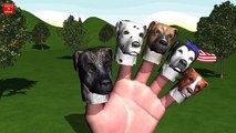 CAT VS DOG SUPERHERO BATTLE Finger Family | 1 HOUR | Nursery Rhymes for Children | 3D Animation