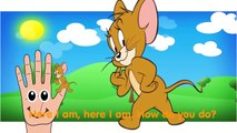 Tom y Jerry Finger Family Tom and Jerry Cartoon Animation Nursery Rhymes for Children