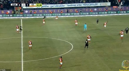 Pierre Webo Goal HD - Osmanlispor	1-1	Galatasaray 18.12.2016