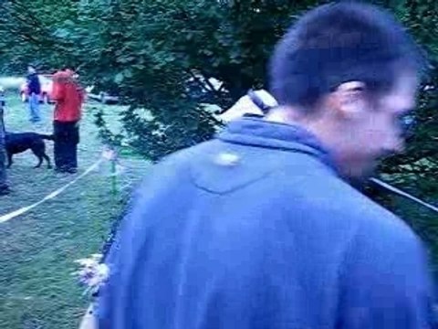 free Dj toy st romain mur 15 kilo mur kristioun aout 07