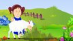 Mary Had A Little Lamb English | Famous Rhymes For Childrens | Hits Of Nursery Rhyme