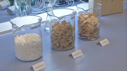 هذا الصباح-طريقة جديدة لصناعة مواد التغليف من خشب الأشجار