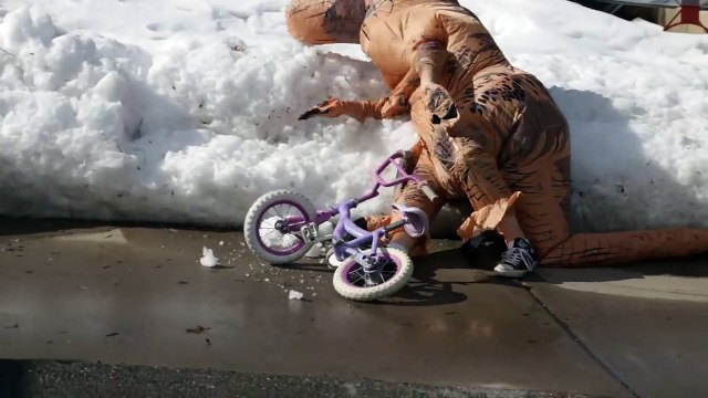 1 journée de la vie d'un T-Rex.. pas facile facile lol