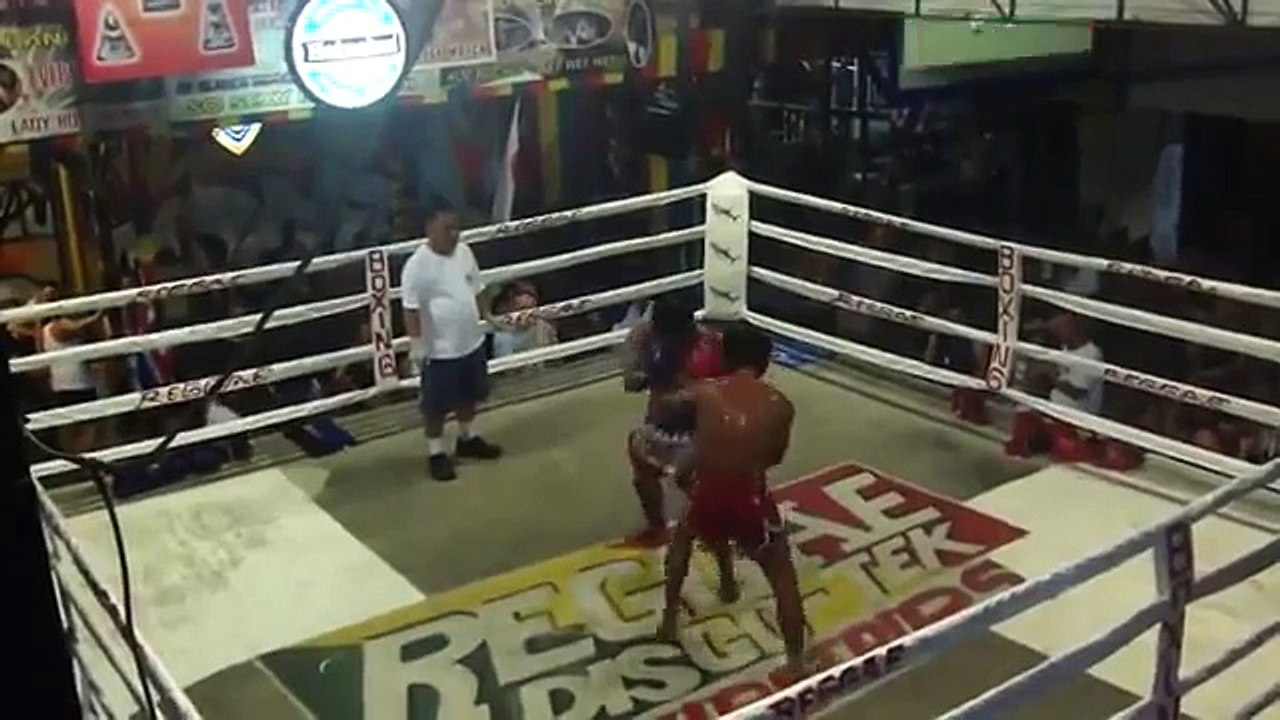 Most Unpredictable Fight You Will Ever See - Funny