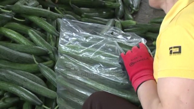 INSTAT: Papunësia u ul - Top Channel Albania - News - Lajme