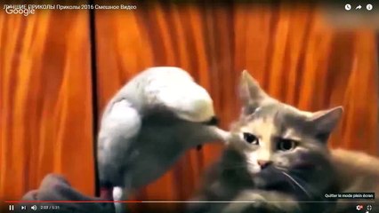 esasai de pas etre mal a laise et rire