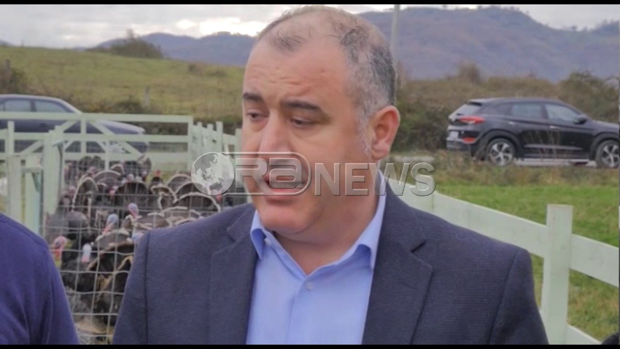 Ora News - Bashkia e Tiranës hap për të dytin vit tregun e gjelave të detit