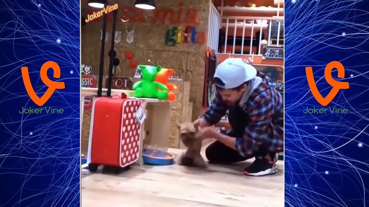 Best magic vines in the world 2016 - Best magic tricks ever