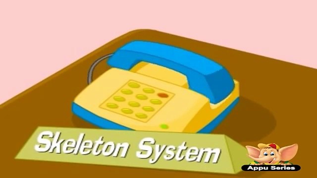 Learn Human Body - Skeleton System