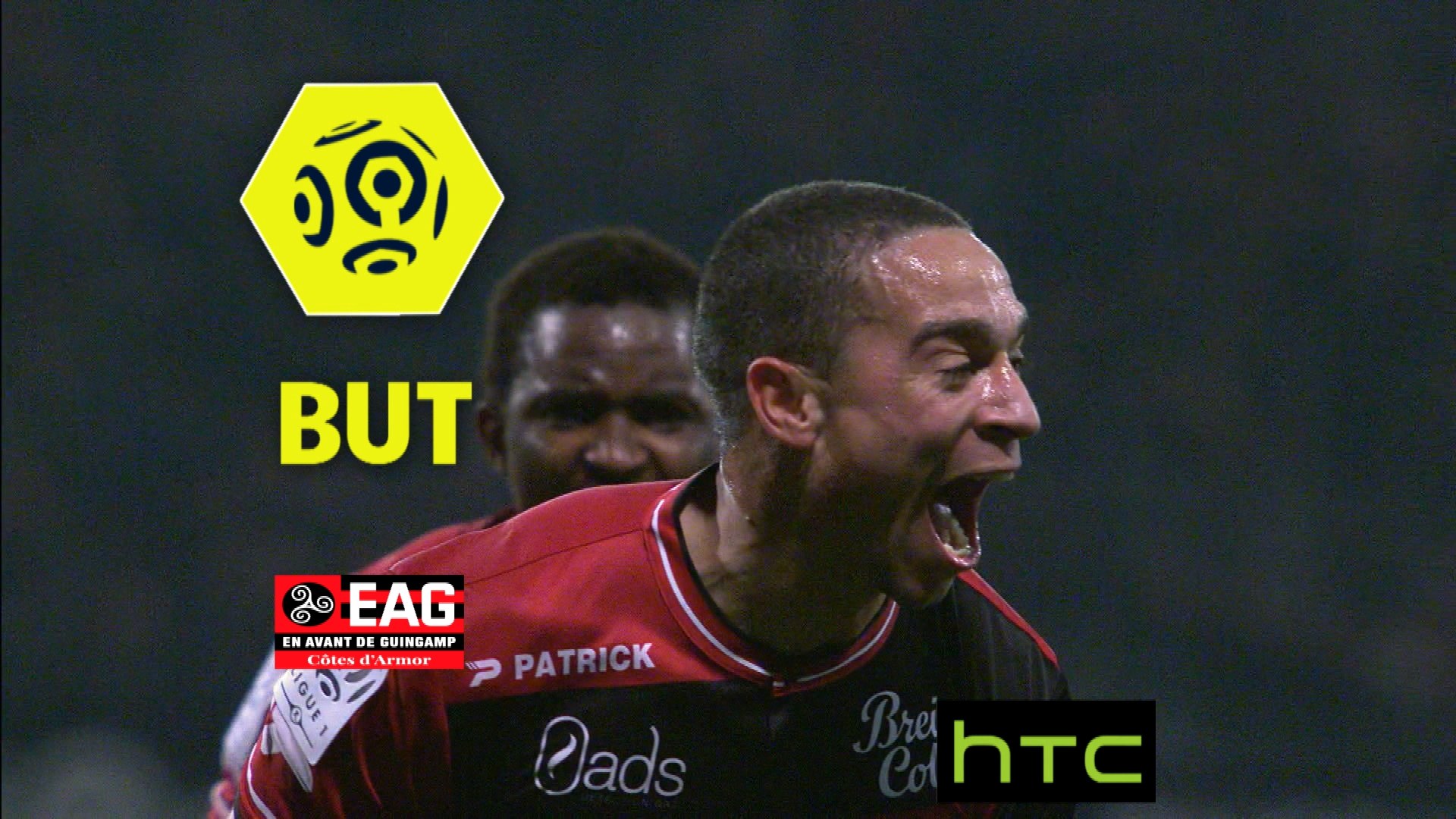 But Nill DE PAUW (70ème) / EA Guingamp - Paris Saint-Germain - (2-1) - (EAG-PARIS) / 2016-17