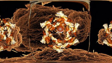 Chakra Frequencies Sacral - Fractal VR 360