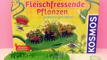 Growing flesh-eating plants - Venus Flytrap and Sundew Seeds - Demo