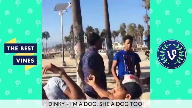 Best Animal Vines Compilation | Top Funny Pets June 2016