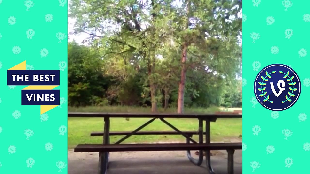 Best Girls Fails Vines Compilation | Top Girl Fail Vines July 2016