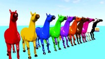 3D Horse Colours Songs Collection, Learning Colours For Children Nursery Rhymes and Songs