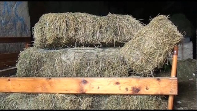 Sarandë- Një në pranga dhe një në kërkim për kanabisin e gjetur në tunel