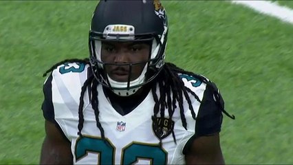 Chris Ivory rushes for 17-yard gain