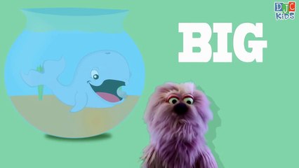 Big and Small - An Opposites Video for Children
