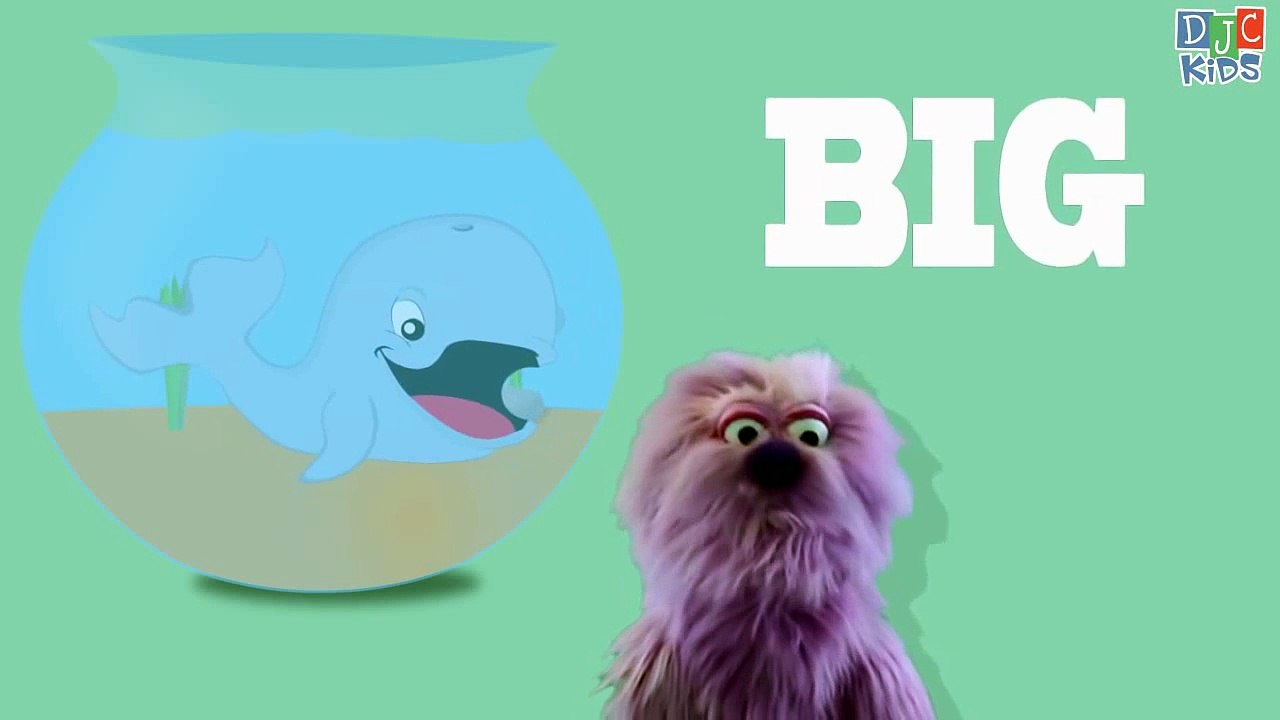 Big and Small - An Opposites Video for Children